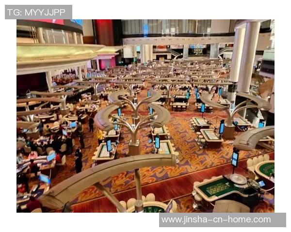 澳门金沙娱乐场438-澳门金沙娱乐场的新体验与挑战，探索438的魅力-澳门金沙娱乐场438